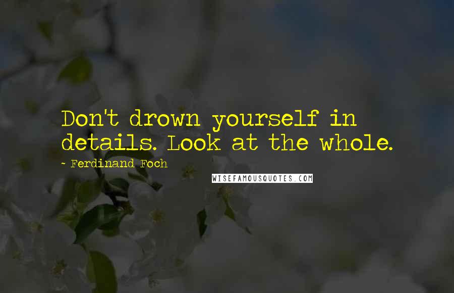 Ferdinand Foch Quotes: Don't drown yourself in details. Look at the whole.