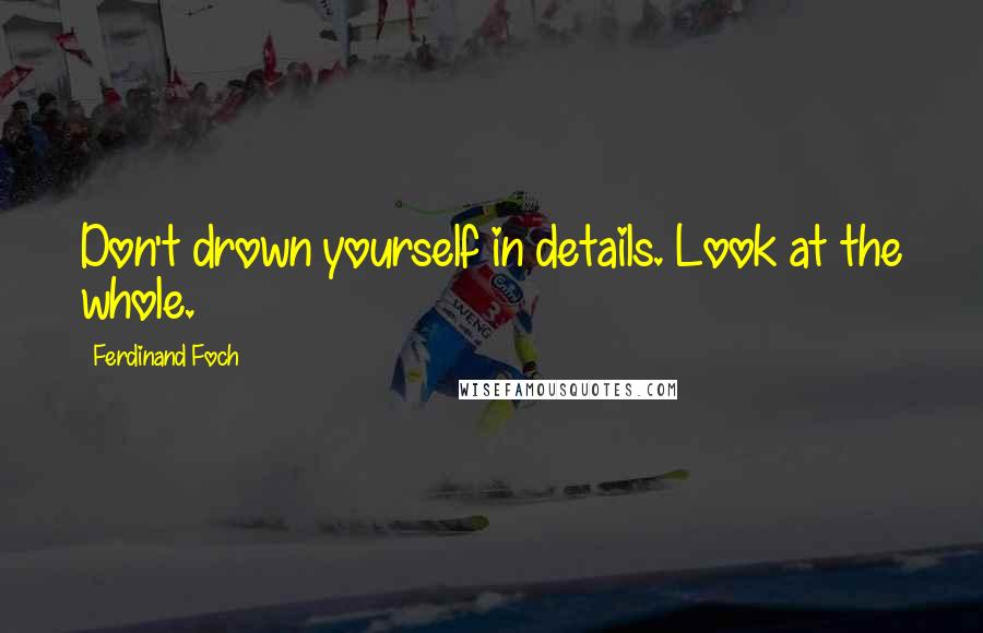 Ferdinand Foch Quotes: Don't drown yourself in details. Look at the whole.