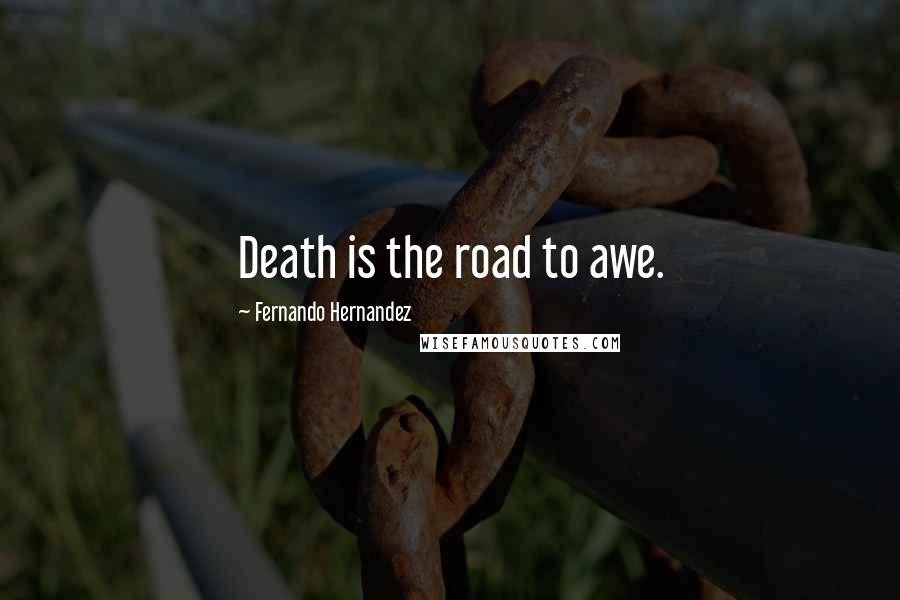 Fernando Hernandez Quotes: Death is the road to awe.