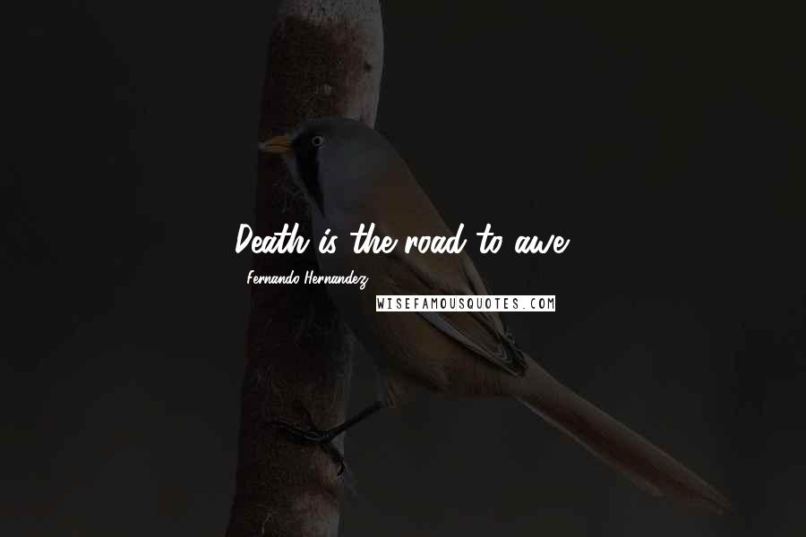 Fernando Hernandez Quotes: Death is the road to awe.