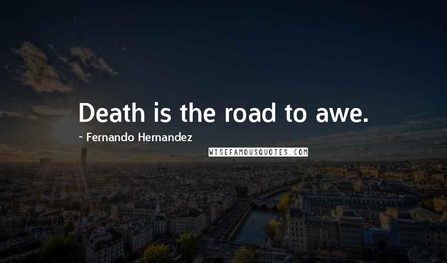 Fernando Hernandez Quotes: Death is the road to awe.
