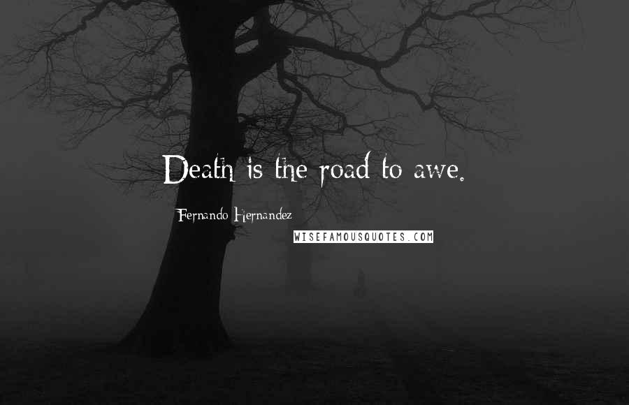 Fernando Hernandez Quotes: Death is the road to awe.