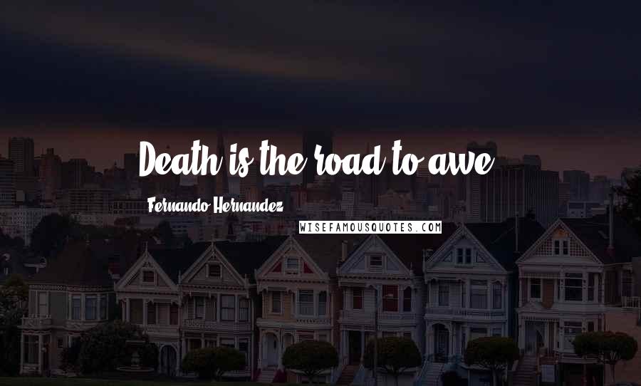 Fernando Hernandez Quotes: Death is the road to awe.