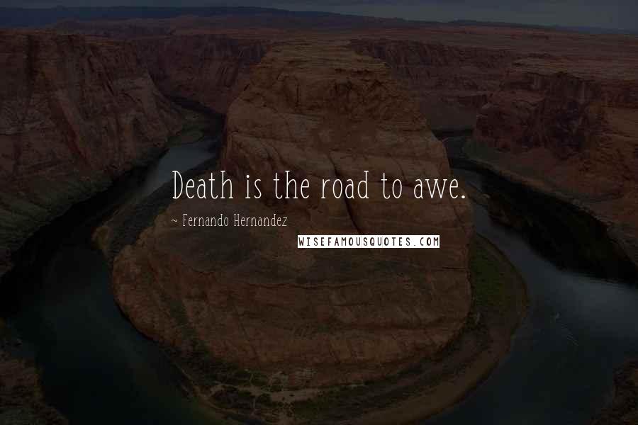 Fernando Hernandez Quotes: Death is the road to awe.
