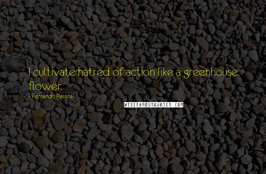 Fernando Pessoa Quotes: I cultivate hatred of action like a greenhouse flower.