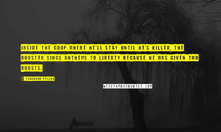 Fernando Pessoa Quotes: Inside the coop where he'll stay until he's killed, the rooster sings anthems to liberty because he was given two roosts.