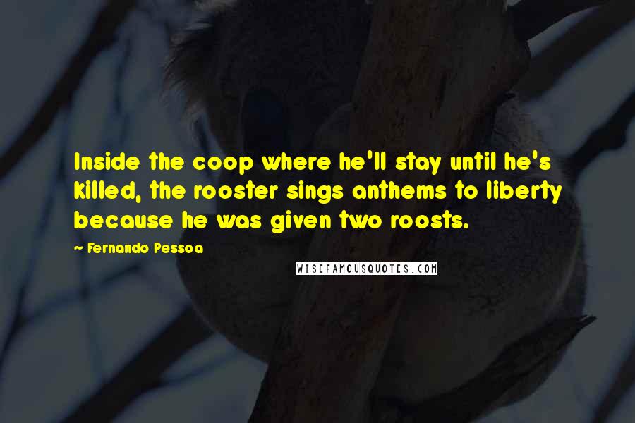 Fernando Pessoa Quotes: Inside the coop where he'll stay until he's killed, the rooster sings anthems to liberty because he was given two roosts.