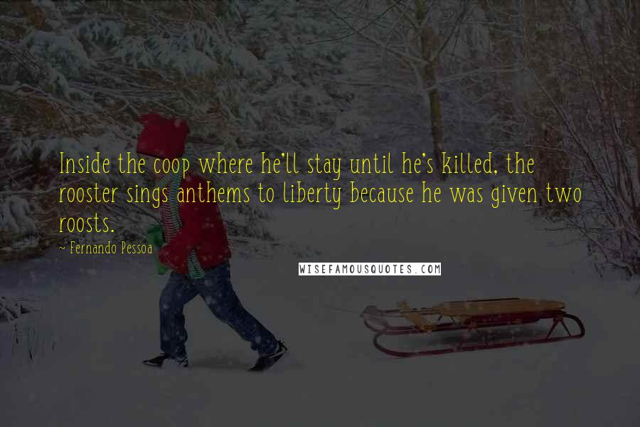 Fernando Pessoa Quotes: Inside the coop where he'll stay until he's killed, the rooster sings anthems to liberty because he was given two roosts.