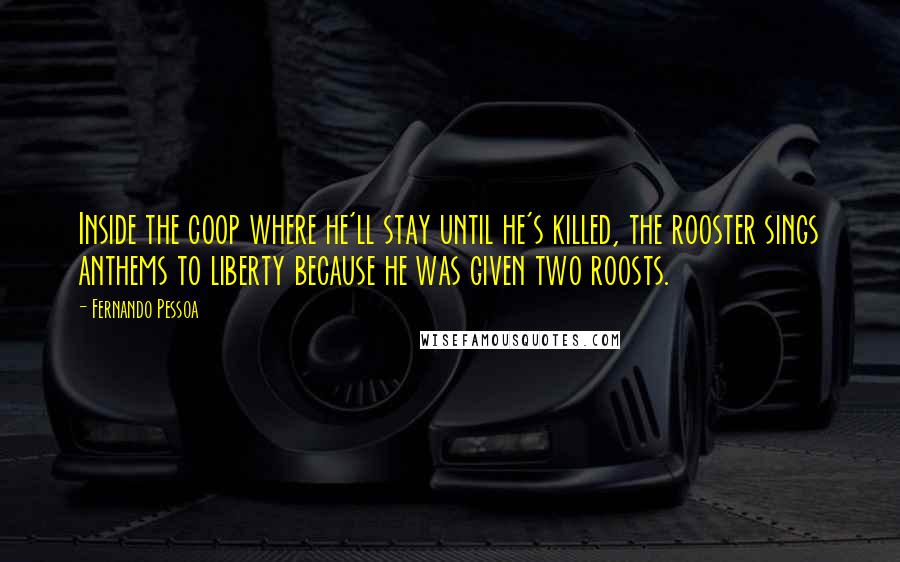 Fernando Pessoa Quotes: Inside the coop where he'll stay until he's killed, the rooster sings anthems to liberty because he was given two roosts.