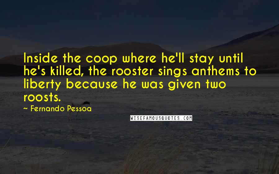 Fernando Pessoa Quotes: Inside the coop where he'll stay until he's killed, the rooster sings anthems to liberty because he was given two roosts.