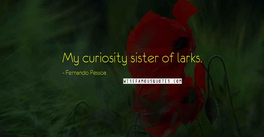 Fernando Pessoa Quotes: My curiosity sister of larks.