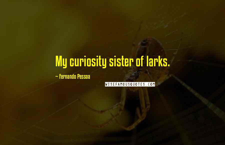 Fernando Pessoa Quotes: My curiosity sister of larks.