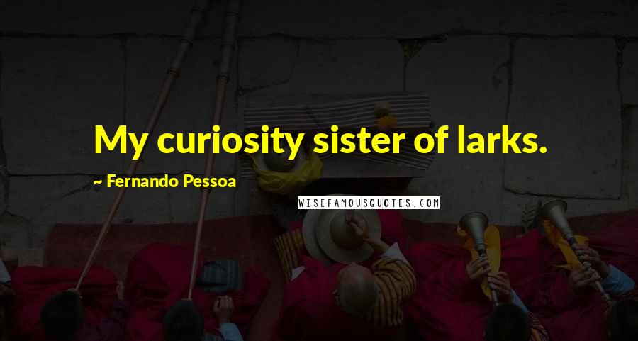 Fernando Pessoa Quotes: My curiosity sister of larks.