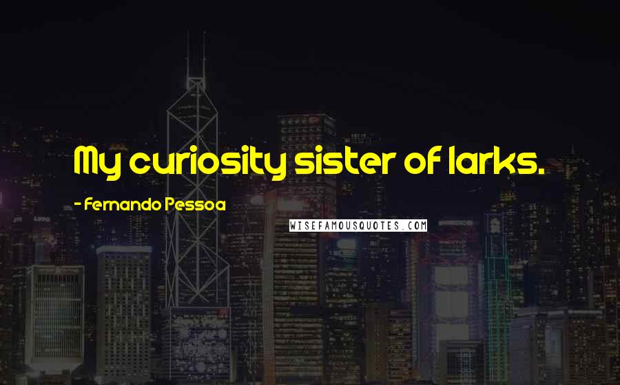 Fernando Pessoa Quotes: My curiosity sister of larks.