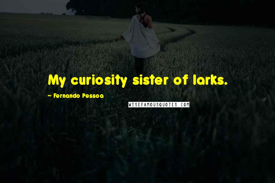 Fernando Pessoa Quotes: My curiosity sister of larks.