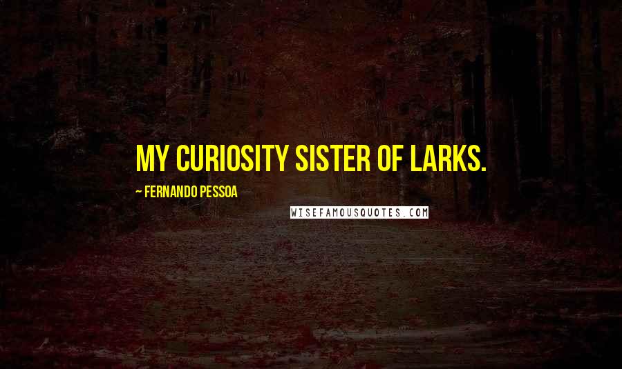 Fernando Pessoa Quotes: My curiosity sister of larks.