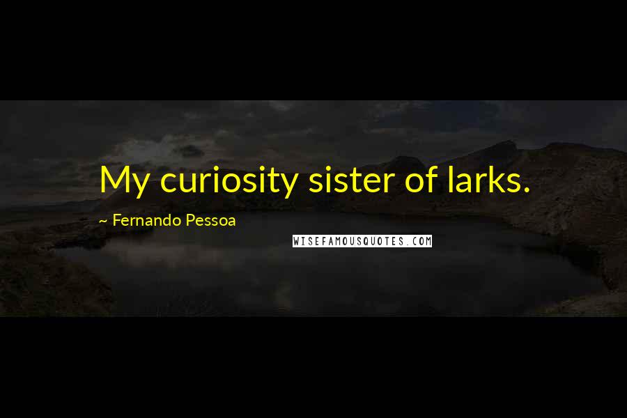 Fernando Pessoa Quotes: My curiosity sister of larks.