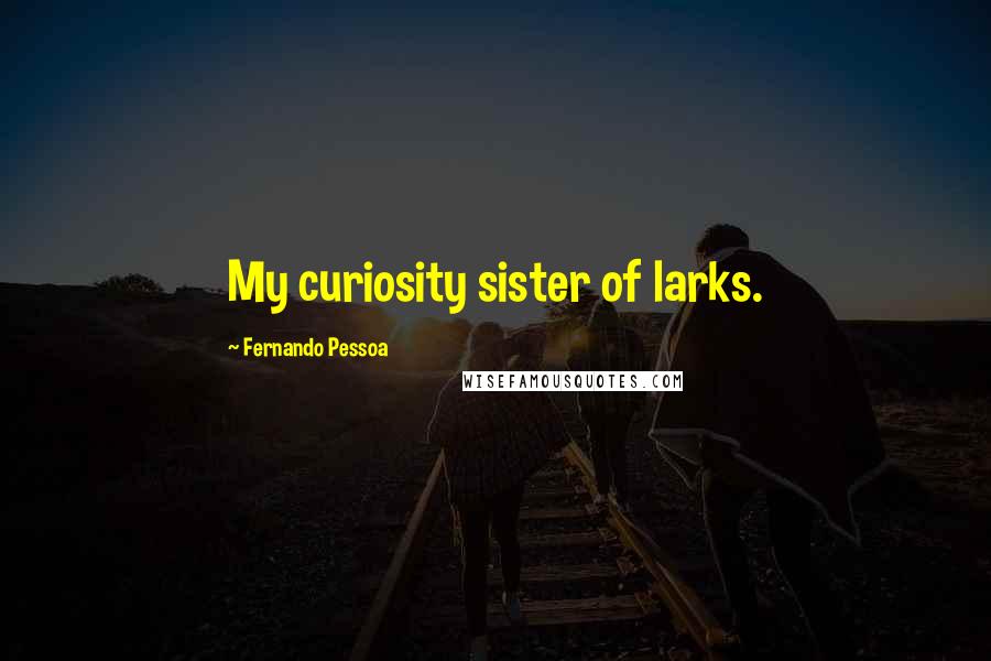 Fernando Pessoa Quotes: My curiosity sister of larks.