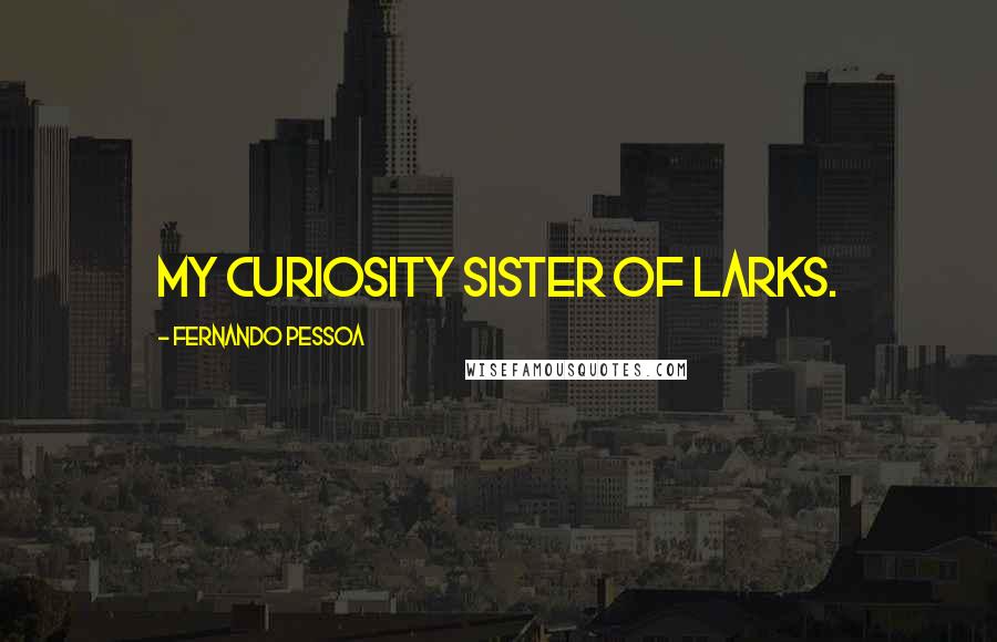 Fernando Pessoa Quotes: My curiosity sister of larks.