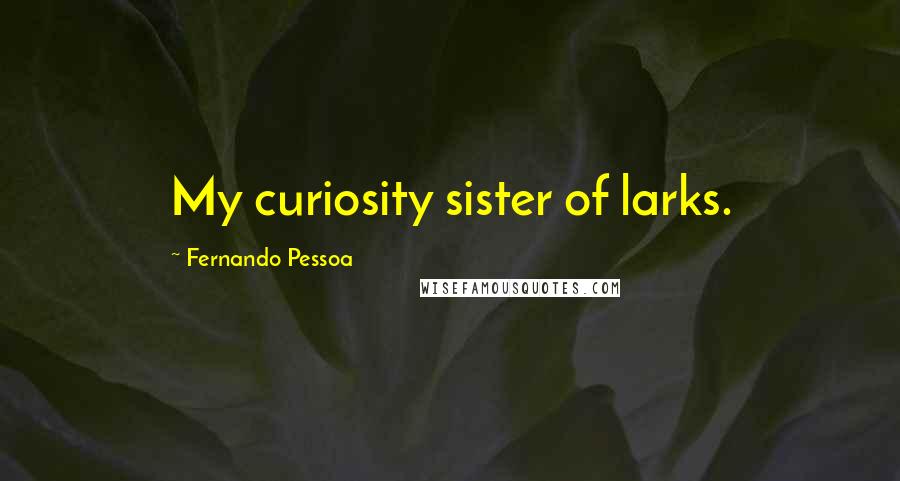 Fernando Pessoa Quotes: My curiosity sister of larks.