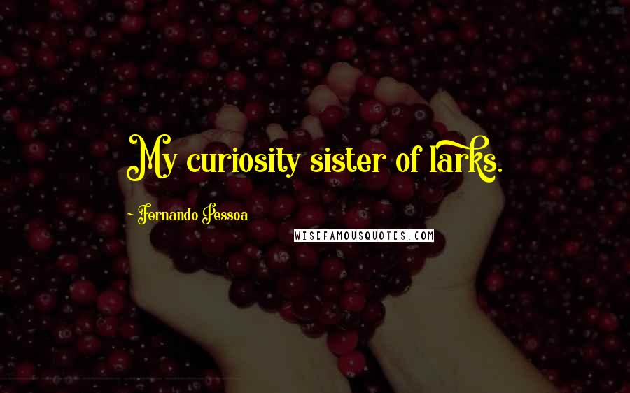 Fernando Pessoa Quotes: My curiosity sister of larks.