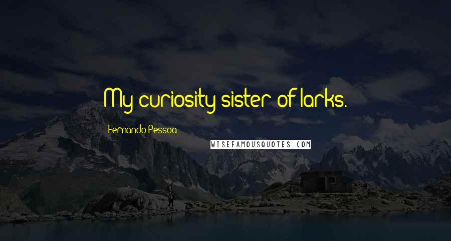 Fernando Pessoa Quotes: My curiosity sister of larks.