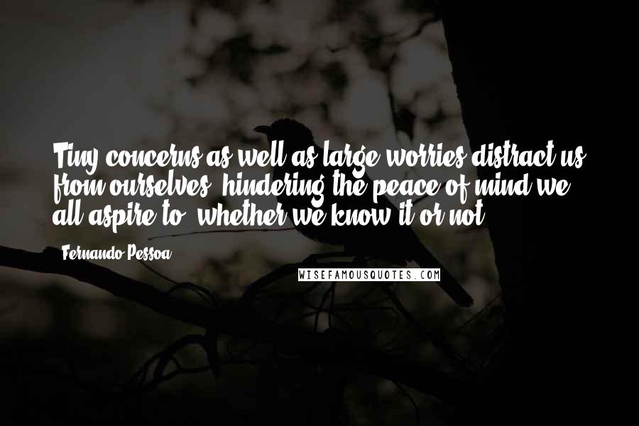 Fernando Pessoa Quotes: Tiny concerns as well as large worries distract us from ourselves, hindering the peace of mind we all aspire to, whether we know it or not.