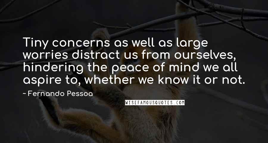 Fernando Pessoa Quotes: Tiny concerns as well as large worries distract us from ourselves, hindering the peace of mind we all aspire to, whether we know it or not.