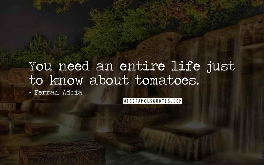 Ferran Adria Quotes: You need an entire life just to know about tomatoes.