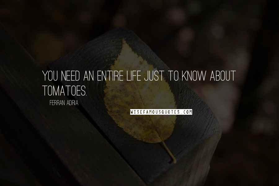 Ferran Adria Quotes: You need an entire life just to know about tomatoes.