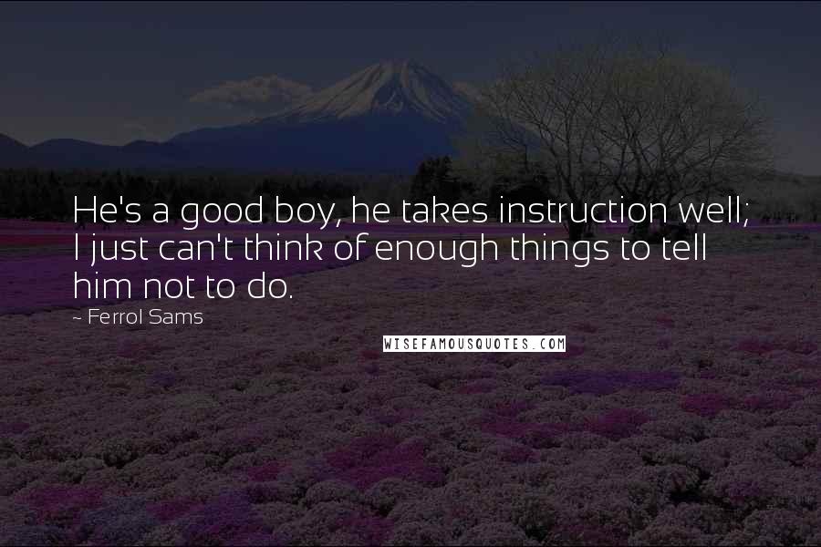 Ferrol Sams Quotes: He's a good boy, he takes instruction well; I just can't think of enough things to tell him not to do.