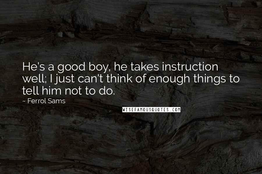 Ferrol Sams Quotes: He's a good boy, he takes instruction well; I just can't think of enough things to tell him not to do.