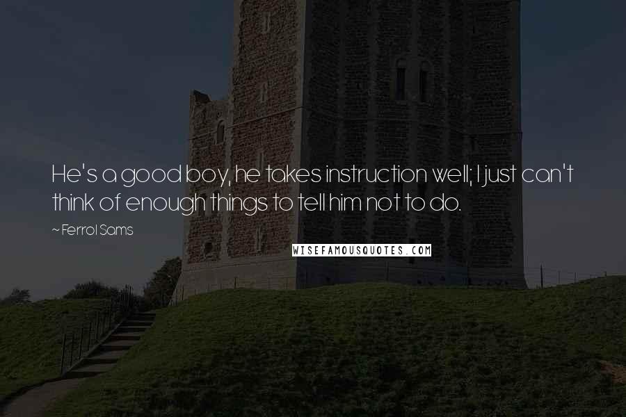 Ferrol Sams Quotes: He's a good boy, he takes instruction well; I just can't think of enough things to tell him not to do.