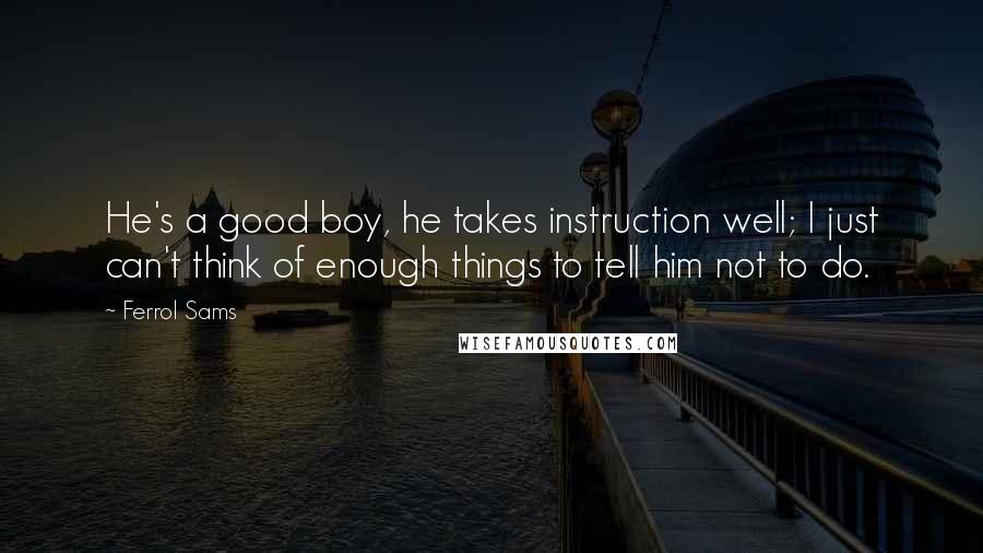 Ferrol Sams Quotes: He's a good boy, he takes instruction well; I just can't think of enough things to tell him not to do.