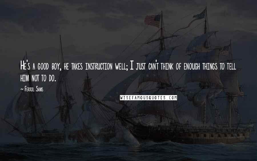 Ferrol Sams Quotes: He's a good boy, he takes instruction well; I just can't think of enough things to tell him not to do.