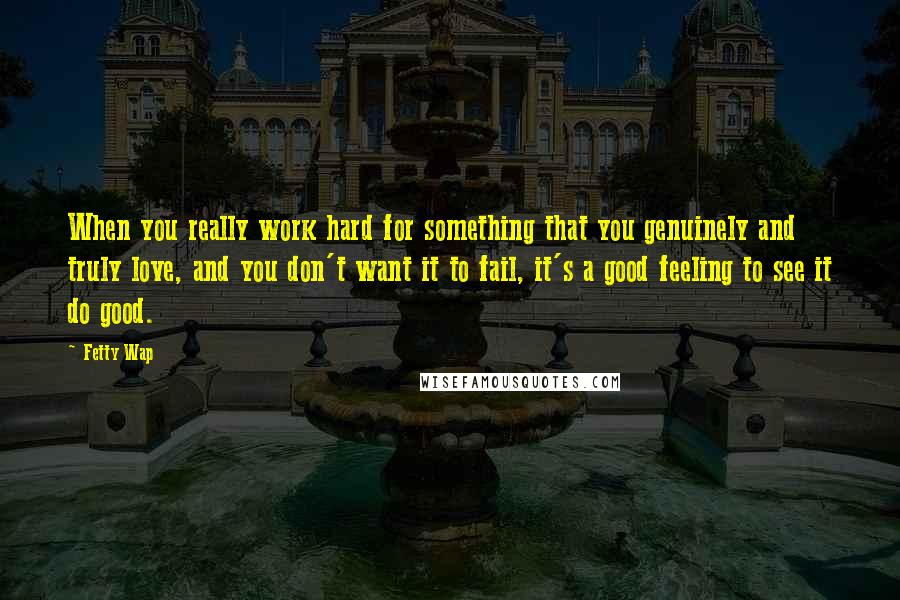 Fetty Wap Quotes: When you really work hard for something that you genuinely and truly love, and you don't want it to fail, it's a good feeling to see it do good.