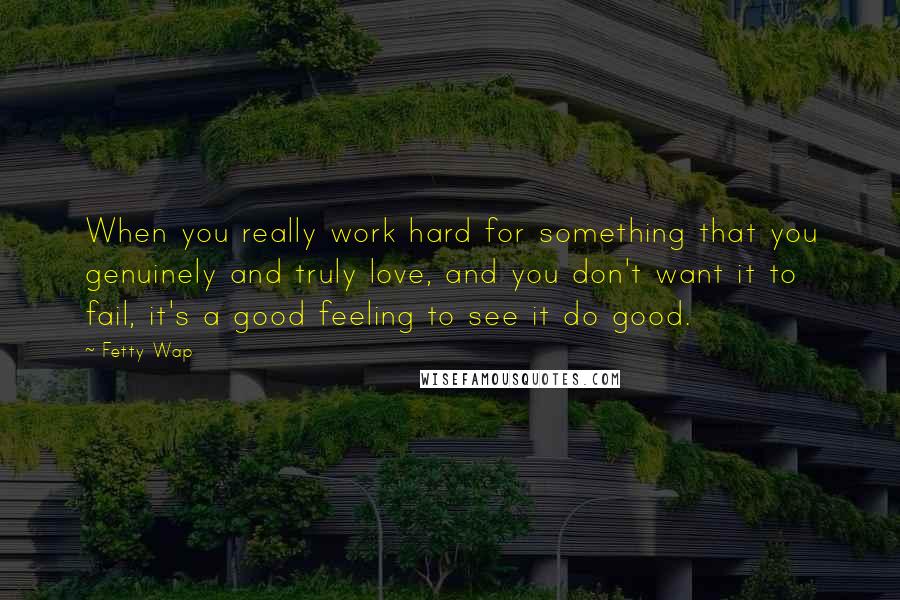 Fetty Wap Quotes: When you really work hard for something that you genuinely and truly love, and you don't want it to fail, it's a good feeling to see it do good.