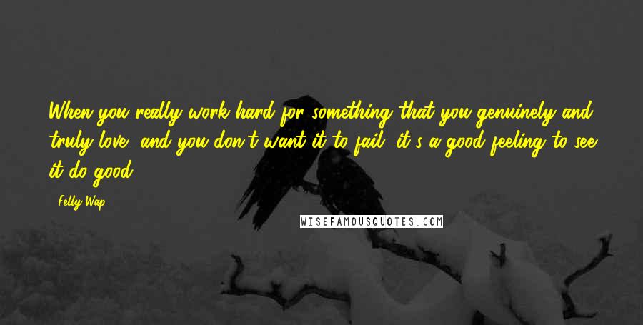 Fetty Wap Quotes: When you really work hard for something that you genuinely and truly love, and you don't want it to fail, it's a good feeling to see it do good.