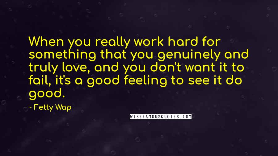 Fetty Wap Quotes: When you really work hard for something that you genuinely and truly love, and you don't want it to fail, it's a good feeling to see it do good.