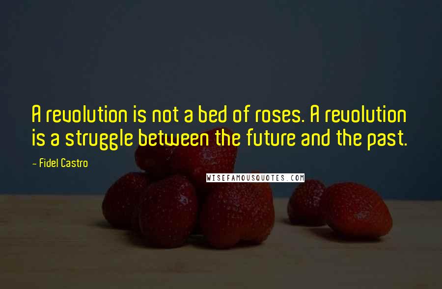 Fidel Castro Quotes: A revolution is not a bed of roses. A revolution is a struggle between the future and the past.