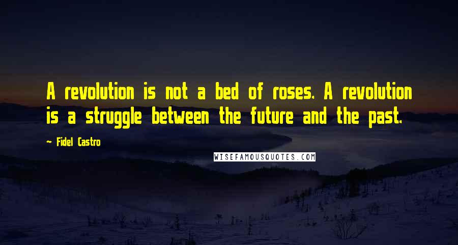 Fidel Castro Quotes: A revolution is not a bed of roses. A revolution is a struggle between the future and the past.