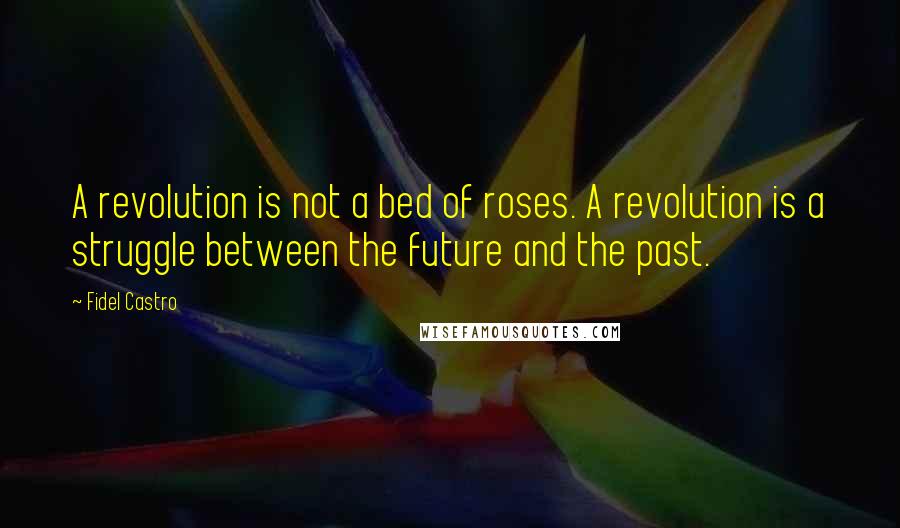 Fidel Castro Quotes: A revolution is not a bed of roses. A revolution is a struggle between the future and the past.