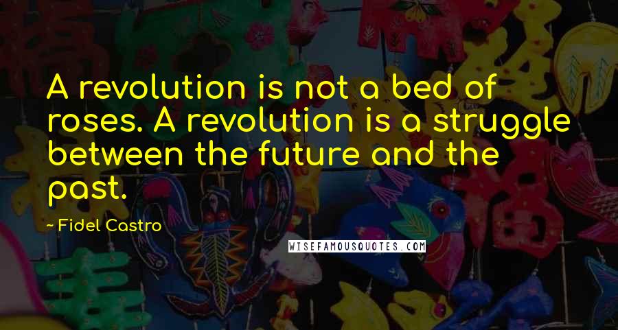 Fidel Castro Quotes: A revolution is not a bed of roses. A revolution is a struggle between the future and the past.