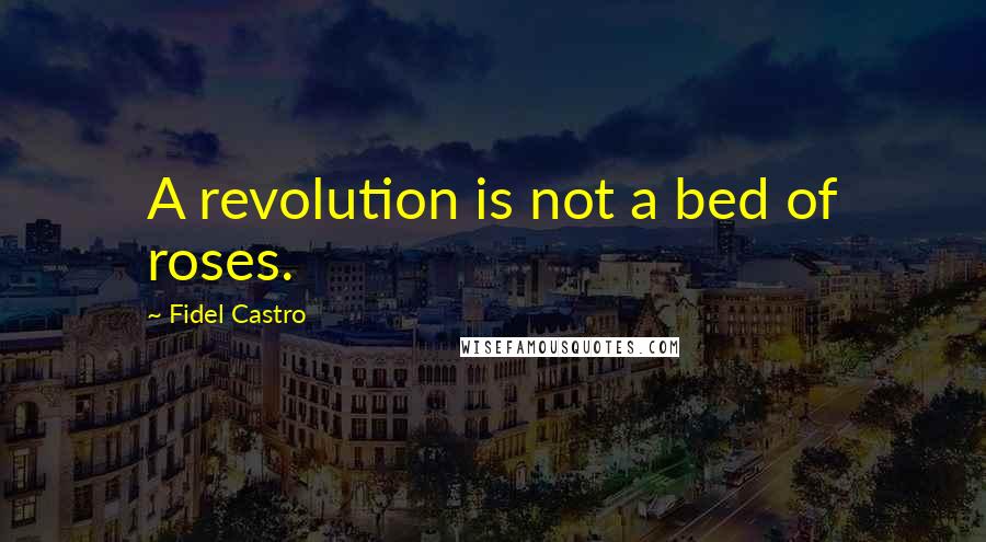 Fidel Castro Quotes: A revolution is not a bed of roses.