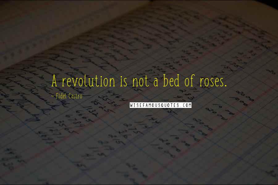 Fidel Castro Quotes: A revolution is not a bed of roses.