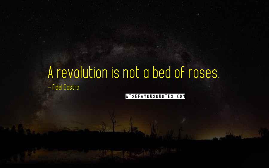 Fidel Castro Quotes: A revolution is not a bed of roses.