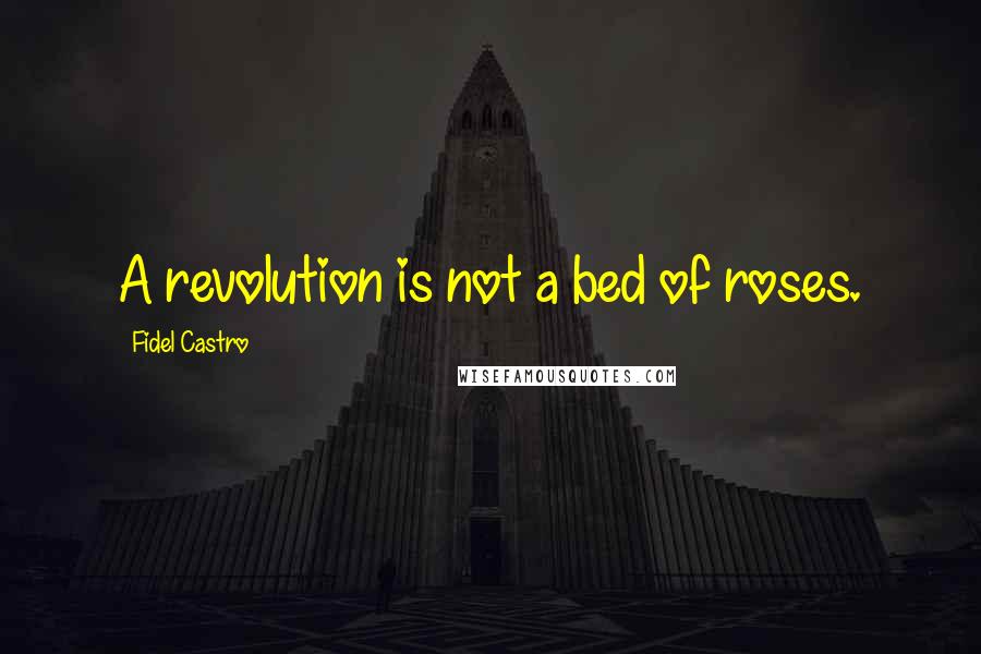 Fidel Castro Quotes: A revolution is not a bed of roses.