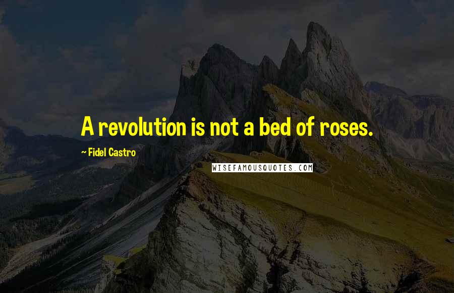 Fidel Castro Quotes: A revolution is not a bed of roses.