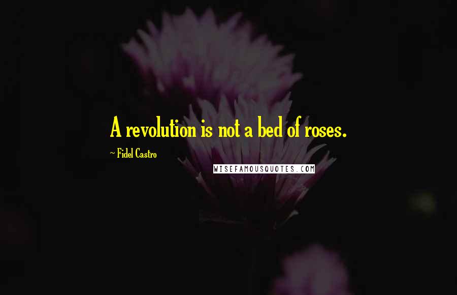 Fidel Castro Quotes: A revolution is not a bed of roses.