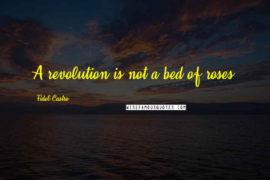 Fidel Castro Quotes: A revolution is not a bed of roses.